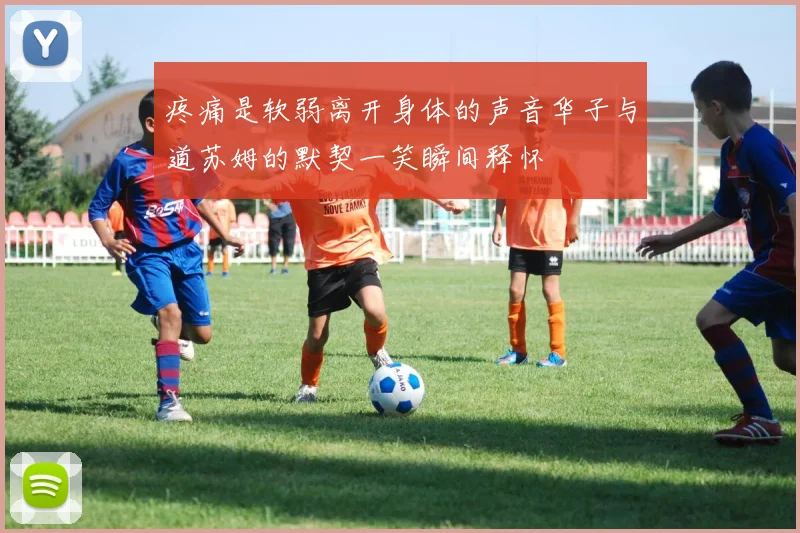 疼痛是软弱离开身体的声音华子与道苏姆的默契一笑瞬间释怀