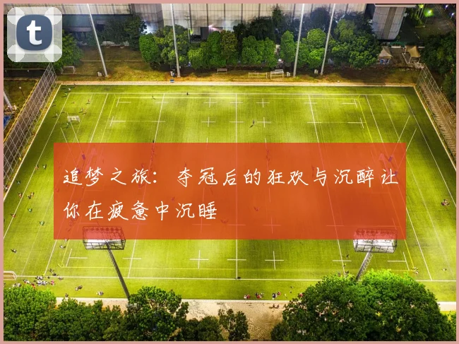 追梦之旅:夺冠后的狂欢与沉醉让你在疲惫中沉睡