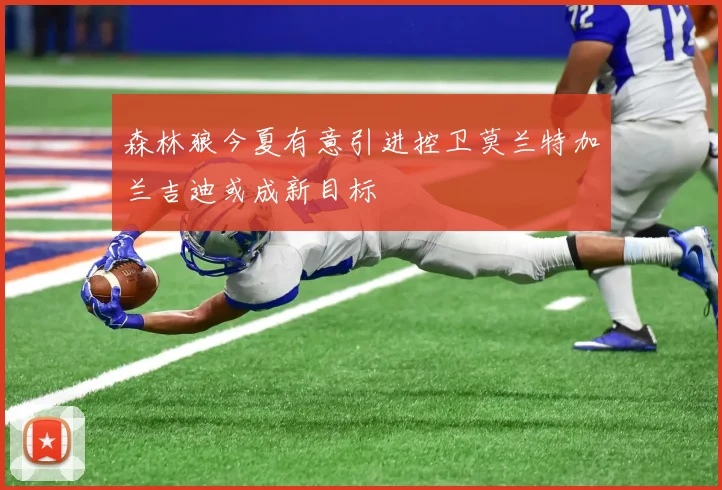森林狼今夏有意引进控卫莫兰特加兰吉迪或成新目标